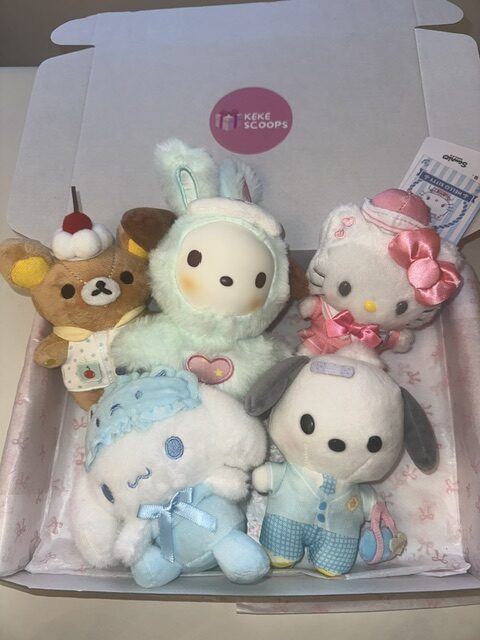 🎀 Plushie Box of 5 – Mix & Match Your Favourites! 🧸✨